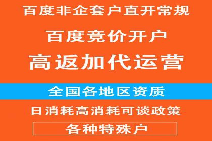 行业领先企业的百度广告推广经验分享